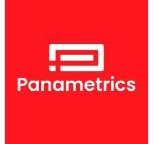 PANAMETRICS